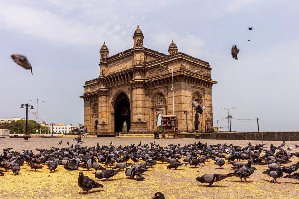 Golden Triangle And Mumbai